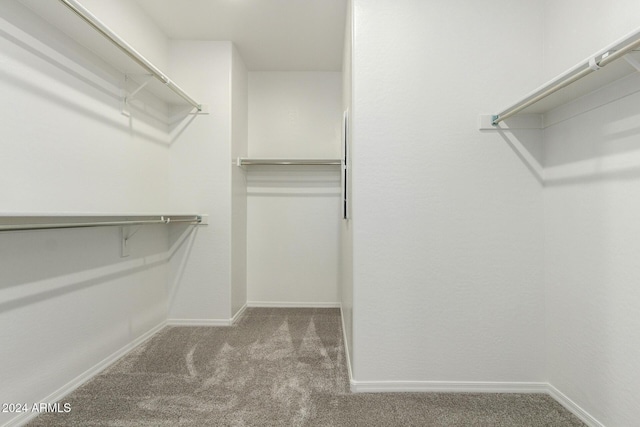 walk in closet featuring carpet floors