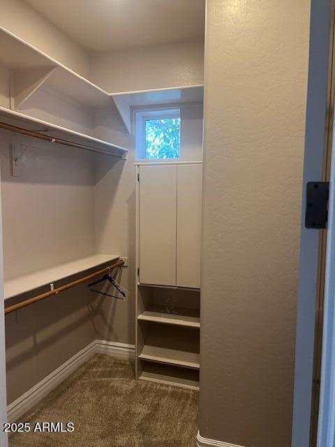 spacious closet featuring dark colored carpet