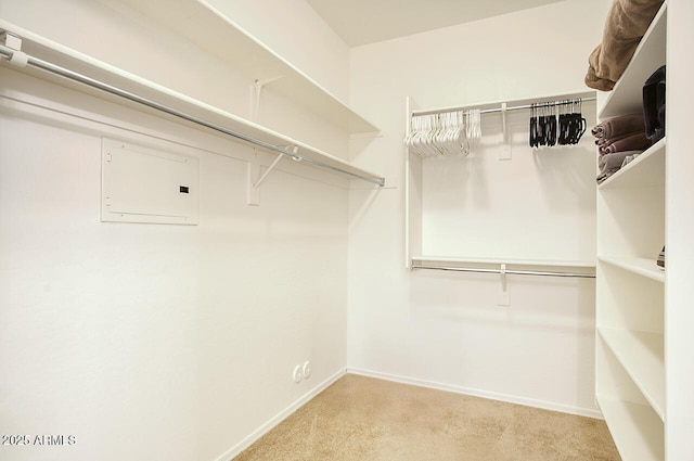 19700 N 76th St Unit 1058, Scottsdale, AZ 85255 - spacious closet with carpet floors and electric panel