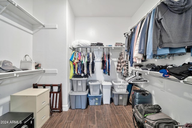 spacious closet featuring dark hardwood / wood-style floors