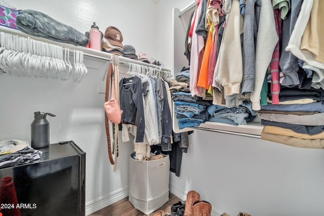 spacious closet with hardwood / wood-style floors