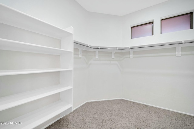 view of walk in closet