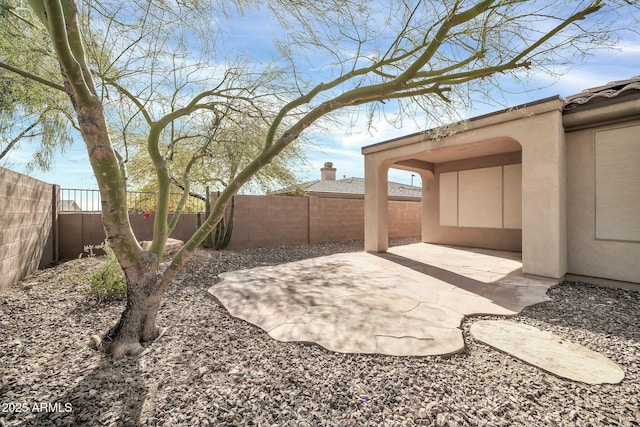 view of yard featuring a patio area