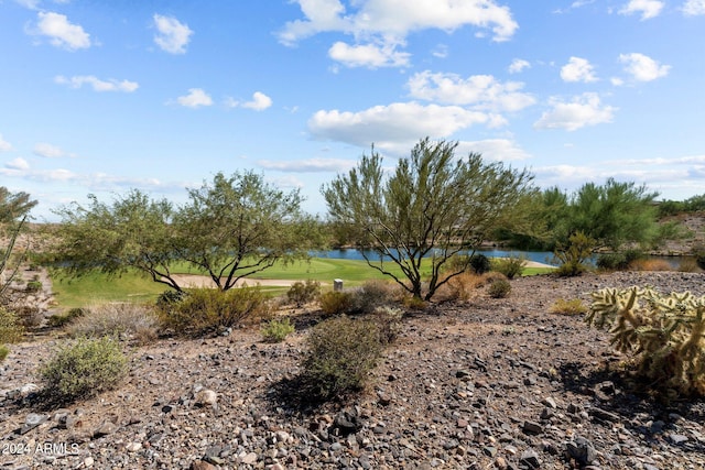 view of landscape featuring a water view