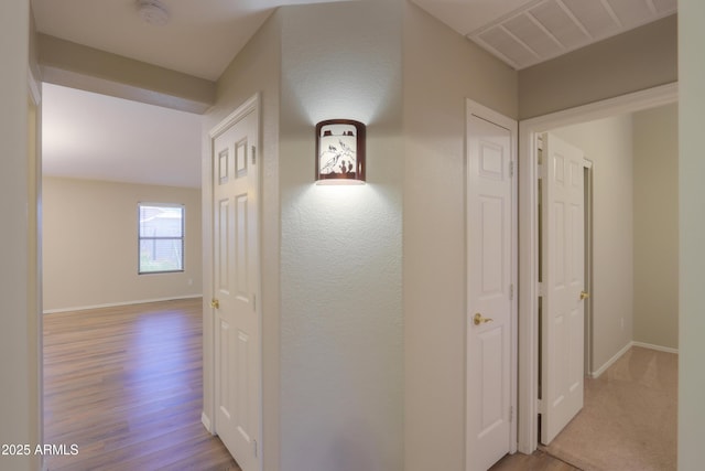 1563 E Peregrine Trl, Casa Grande, AZ 85122 - hallway with wood finished floors and baseboards