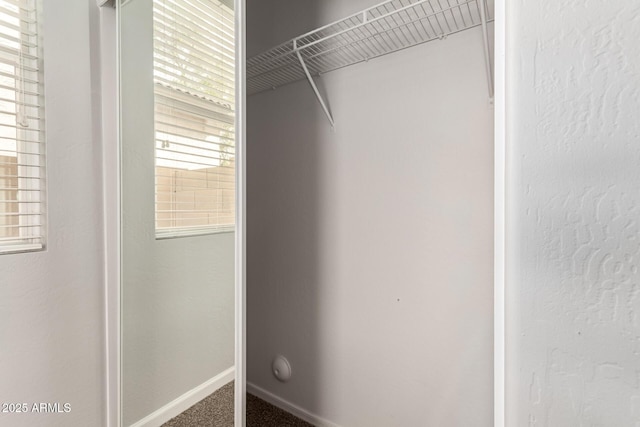 view of closet