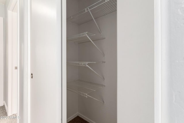 view of closet