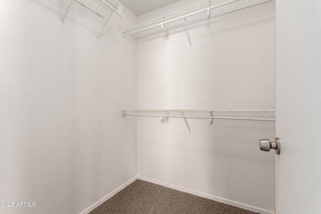 spacious closet featuring dark colored carpet