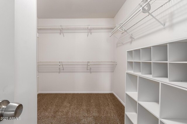 walk in closet featuring carpet flooring