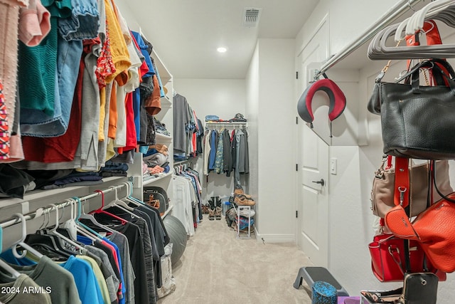 spacious closet featuring light carpet