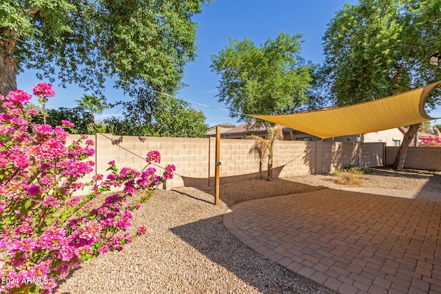 view of yard featuring a patio