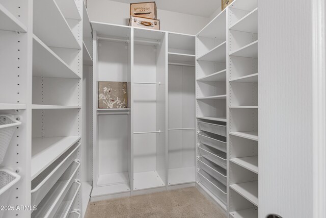 spacious closet with carpet