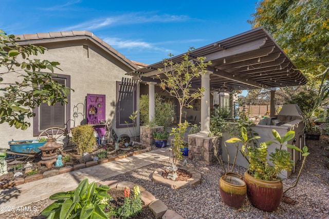 view of patio / terrace with an outdoor kitchen