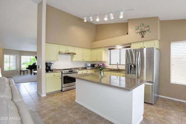 5451 W Folley St, Chandler, AZ 85226 - kitchen with appliances with stainless steel finishes, rail lighting, a sink, under cabinet range hood, and high vaulted ceiling