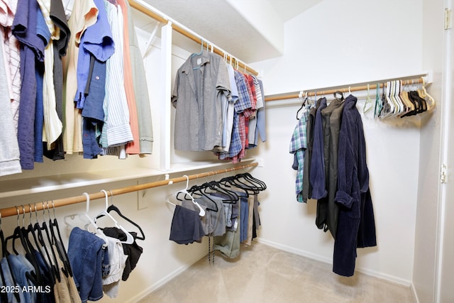 5451 W Folley St, Chandler, AZ 85226 - spacious closet with carpet floors
