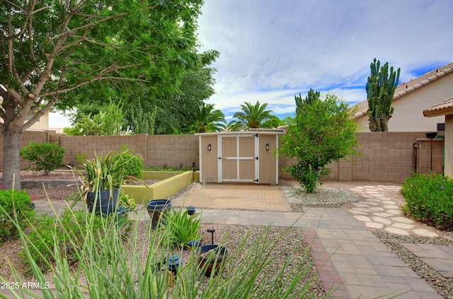 5451 W Folley St, Chandler, AZ 85226 - fenced backyard with a garden