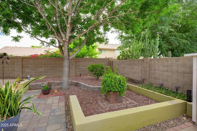 5451 W Folley St, Chandler, AZ 85226 - fenced backyard with a patio area