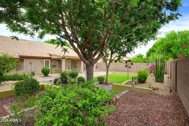 5451 W Folley St, Chandler, AZ 85226 - fenced backyard with a patio