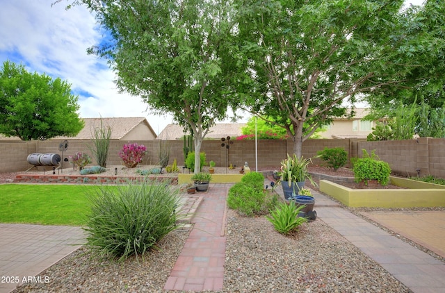 5451 W Folley St, Chandler, AZ 85226 - fenced backyard featuring a vegetable garden