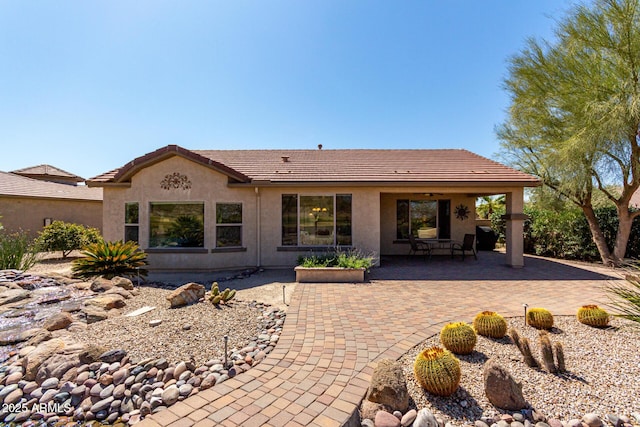 rear view of property with stucco siding, a patio, and a tiled roof