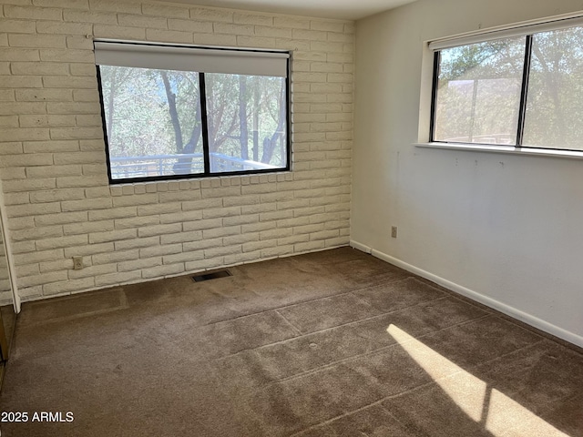 2160 S Moonlight Dr, Star Valley, AZ 85541 - carpeted empty room with plenty of natural light