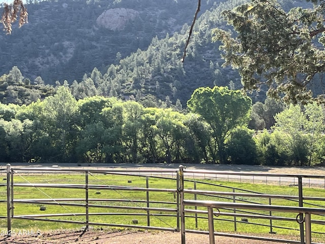 2160 S Moonlight Dr, Star Valley, AZ 85541 - mountain view with a forest and rural landscape