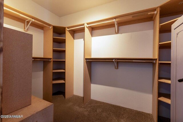 24 N County Road N3101, Vernon, AZ 85940 - spacious closet featuring carpet floors