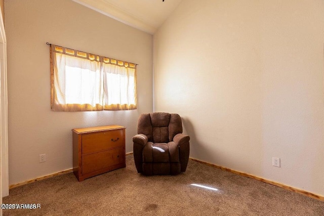 24 N County Road N3101, Vernon, AZ 85940 - sitting room featuring vaulted ceiling, baseboards, and carpet floors