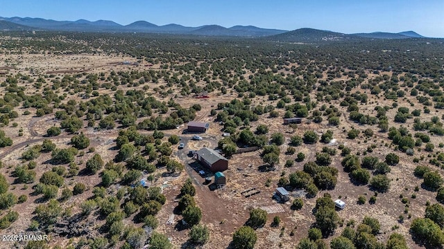 24 N County Road N3101, Vernon, AZ 85940 - drone / aerial view featuring a mountain view