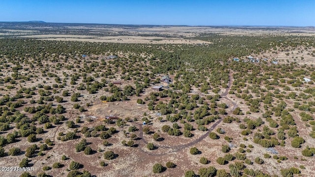 24 N County Road N3101, Vernon, AZ 85940 - aerial view