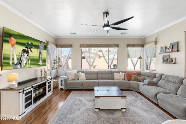 10722 E Keats Ave, Mesa, AZ 85209 - living room with visible vents, wood finished floors, crown molding, and ceiling fan