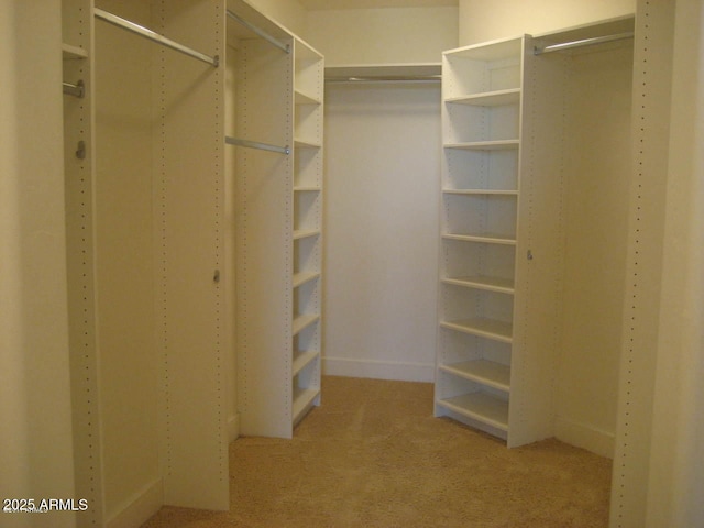 walk in closet featuring light carpet