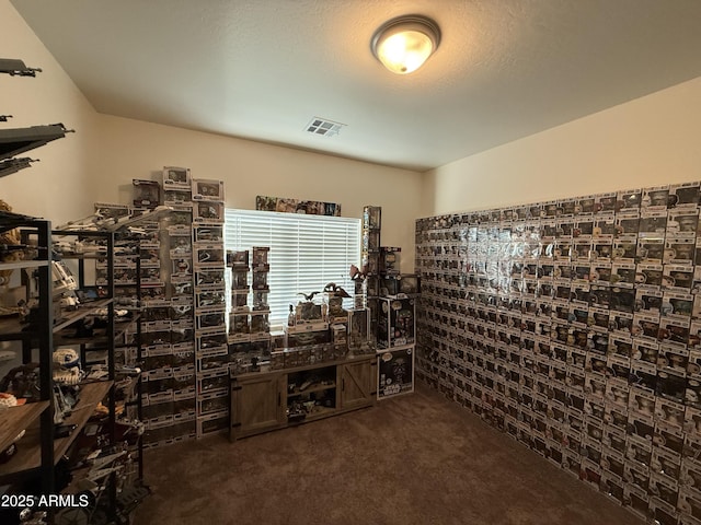 wine cellar featuring visible vents and dark colored carpet