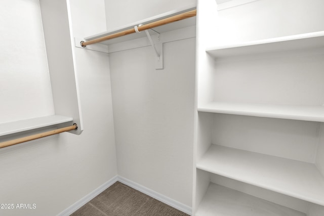 walk in closet with carpet floors