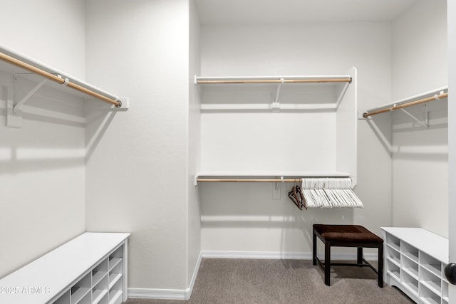 walk in closet with carpet