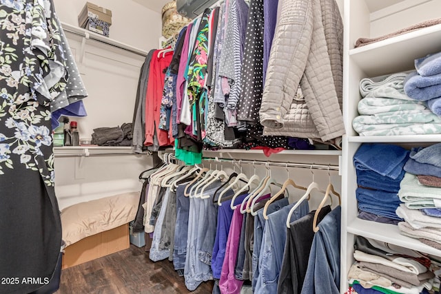 16259 W Papago St, Goodyear, AZ 85338 - walk in closet with wood finished floors