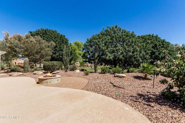 view of yard with an outdoor fire pit and a patio area