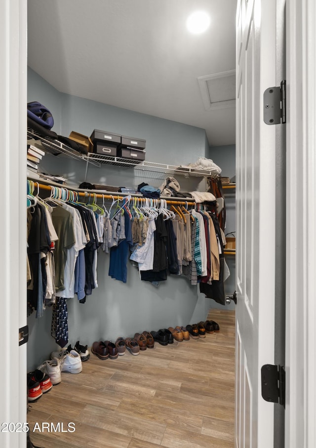13614 N 12th Way, Phoenix, AZ 85022 - walk in closet featuring attic access and wood finished floors