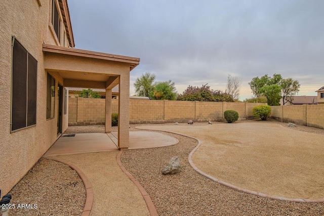 view of yard featuring a patio area