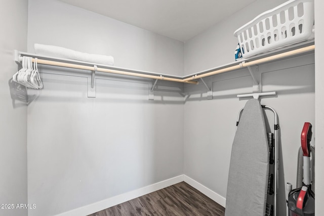 walk in closet with dark wood-type flooring
