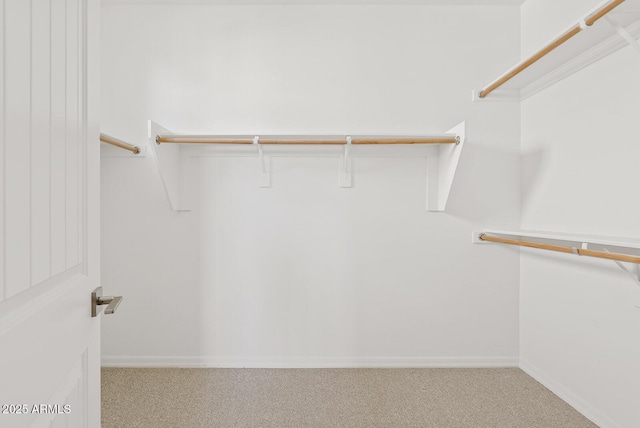 walk in closet featuring carpet floors