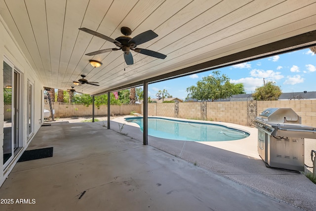 view of swimming pool with a grill and a patio area