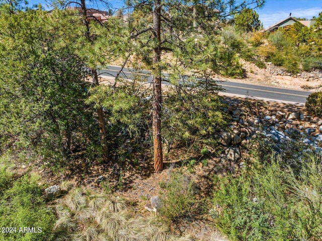 Listing photo 3 for 1334 Sierry Peaks Dr Unit 4, Prescott AZ 86305