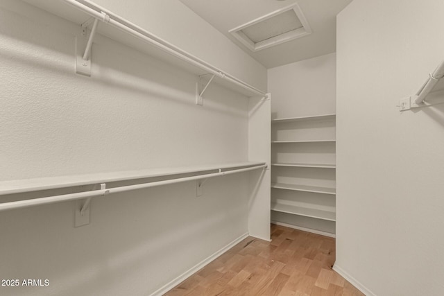 walk in closet featuring light wood-type flooring