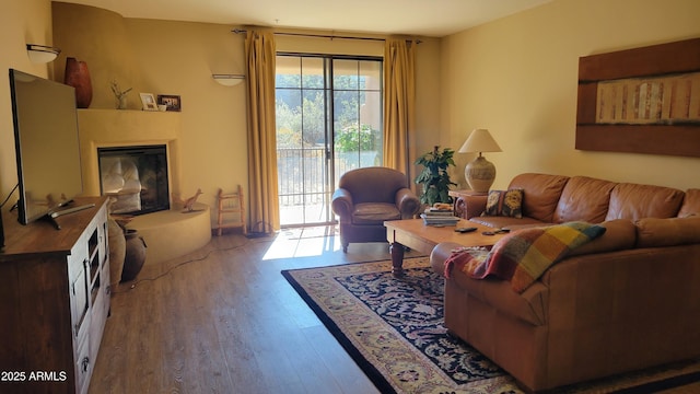 living room with wood finished floors and a glass covered fireplace