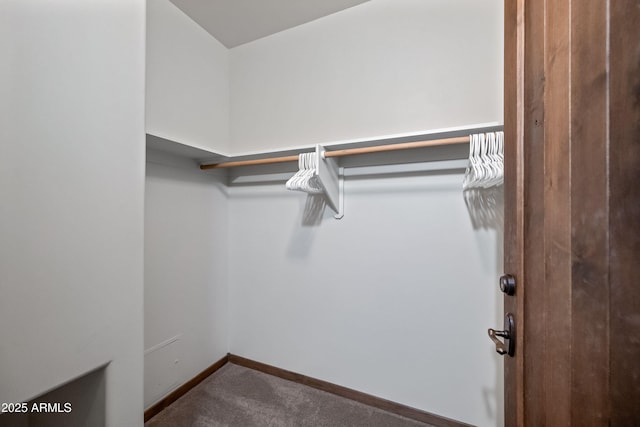 walk in closet with carpet flooring