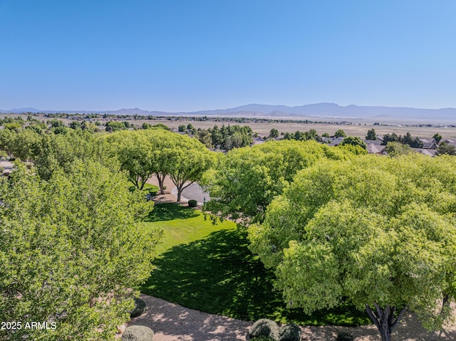 5461 N Bremont Way, Prescott Valley, AZ 86314 - mountain view