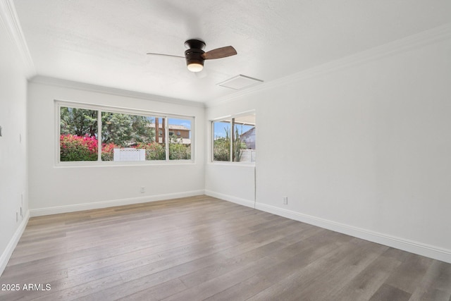 7049 E Latham St, Scottsdale, AZ 85257 - empty room featuring healthy amount of natural light, light wood-style flooring, ornamental molding, baseboards, and a ceiling fan