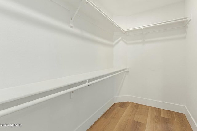 walk in closet featuring light wood-style flooring