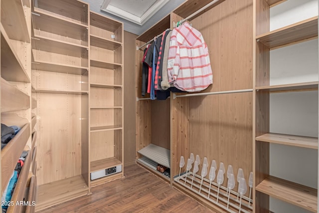 walk in closet featuring wood-type flooring